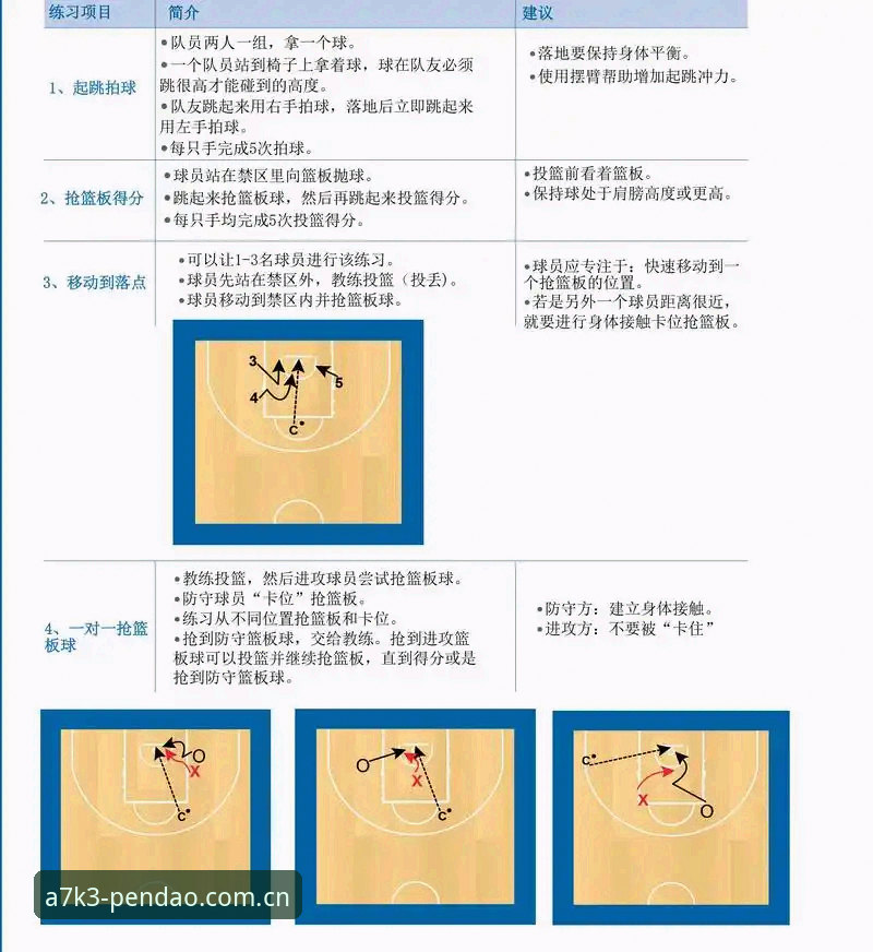 半岛体育平台新手教程：从入门到精通的使用指南
